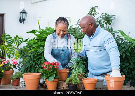 Uomo anziano e donna che fanno il giardinaggio insieme all'aperto in modo che le piante fioriscano in stagione. Concetto: Giardinaggio, artigianato, fiori Foto Stock