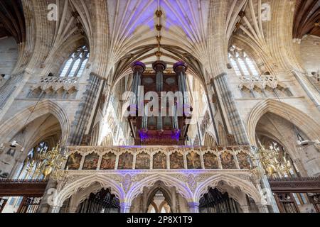 Exeter.Devon.United Kingdom.February 19th 2023.Vista dell'organo all'interno della cattedrale di Exeter Foto Stock