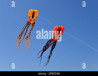Due Octopus Kites contro il cielo blu Foto Stock