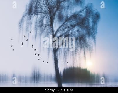 ARTE FOTOGRAFICA: Sunrise Flight (Loisach Moor vicino a Benediktbeuern, Oberbayern, Germania) di Edmund Nagele FRPS Foto Stock