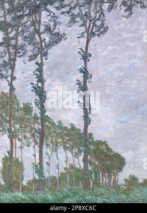 Effet de vent, série des Peupliers 1891 di Claude Monet Foto Stock