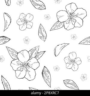 Mandorla. Pattern vettoriale senza giunture. Illustrazione disegnata a mano, sfondo alimentare. Abbozzo fiori gemme Illustrazione Vettoriale