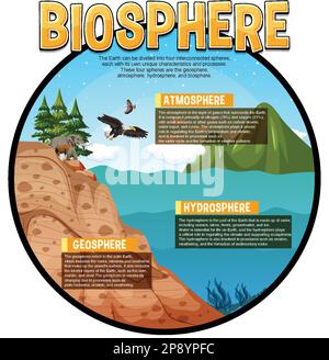 Biosphere Ecologia infografica per l'apprendimento Illustrazione Vettoriale