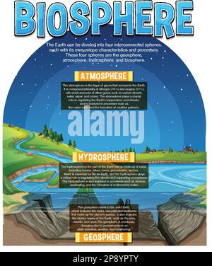 Biosphere Ecologia infografica per l'apprendimento Illustrazione Vettoriale