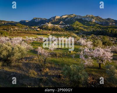 Veduta aerea della città di Tivissa, la Serra de Tivissa e campi di ulivi e mandorli in fiore in un tramonto primaverile (Tarragona, Spagna) Foto Stock