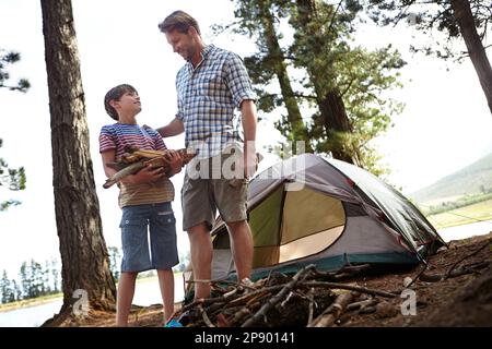 Tagliare il legno è divertente. un ragazzo che porta legna al padre durante un viaggio in campeggio. Foto Stock