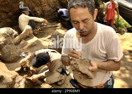 Fachroel Aziz, professore di ricerca in paleontologia vertebrata, viene fotografato presso il sito di scavo di Elephas hysudrindicus, una specie di elefante estinta vissuta durante l'epoca del Pleistocene, più tardi conosciuta come 'elefante di Blora', a Sunggun, Mendalem, Kradenan, Blora, Giava Centrale, Indonesia. Foto Stock