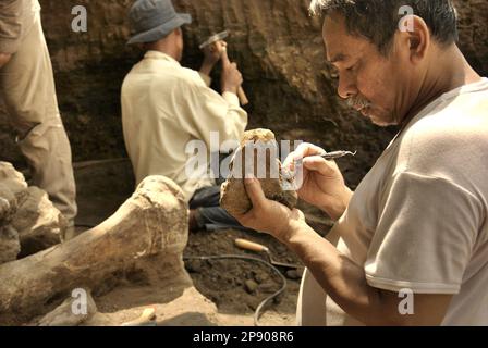 Fachroel Aziz, professore di ricerca in paleontologia vertebrata, viene fotografato presso il sito di scavo di Elephas hysudrindicus, una specie di elefante estinta vissuta durante l'epoca del Pleistocene, più tardi conosciuta come 'elefante di Blora', a Sunggun, Mendalem, Kradenan, Blora, Giava Centrale, Indonesia. Foto Stock