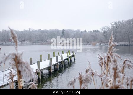 Pontile in legno coperto di neve in lago d'acqua ghiacciato e calmo con canne d'arancio in primo piano Foto Stock