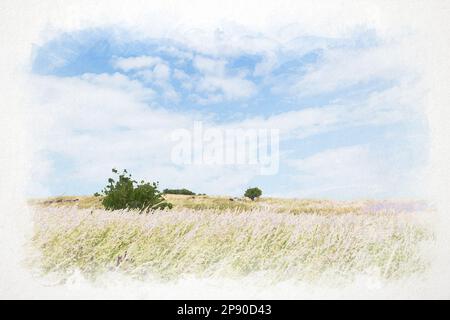 Pittura digitale di acquerello di prato pieno di fieno in una giornata di sole e vento in Repubblica Ceca. Sfondo carta con texture. Foto Stock