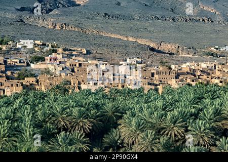 Vista sul vecchio villaggio di al Hamra, Oman Foto Stock