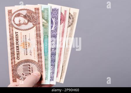 Vecchio denaro ungherese - Forints su uno sfondo grigio Foto Stock