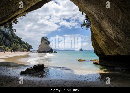 Cove della cattedrale, Penisola di Coromandel, Isola del nord, Nuova Zelanda Foto Stock