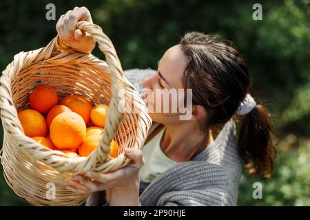 Donna contadina da fattoria arancione. Il giardiniere che raccoglie l'arancia nel cesto. Sorridente agricoltore che trasporta arance fresche al mercato agricolo per la vendita. Fa arancione Foto Stock