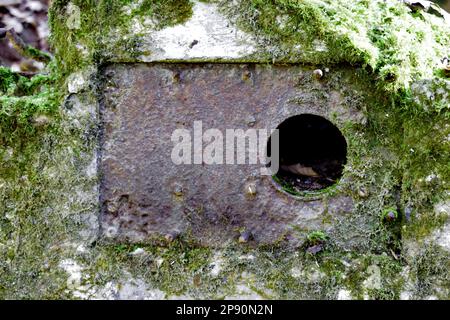 Testimoni oculari relitto Wehrmacht bunker rovine di una vecchia posizione nella foresta Foto Stock