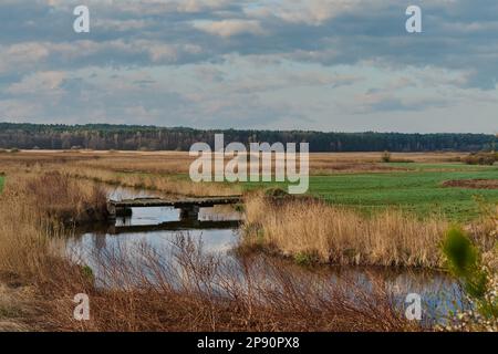 Il ponte sul fiume WIEPRZ vicino alla città di Tarnogóra Foto Stock