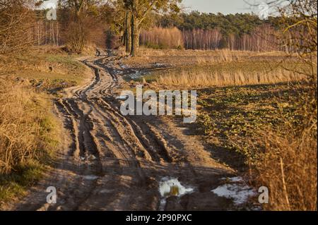 Strada sterrata tra campi e alberi all'inizio della primavera Foto Stock