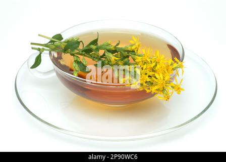 T, T aus Goldrute und Blüte, Heilpflanze, Heiltee, Kräutertee, Golden Rod, Solidago virgaurea, Goldrutentee Foto Stock