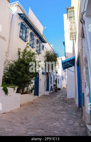 Città blu-bianco di Sidi Bou Said, Tunisia, Nord Africa Foto Stock