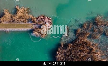 Veduta aerea del lago Balaton in Ungheria. Canne nell'acqua. Vista dall'alto di un lago verde. Vista drone. Foto Stock