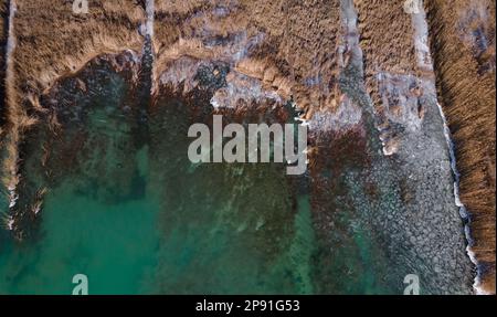 Vista aerea di un lago verde circondato da canne. Paesaggio invernale. Vista drone. Foto Stock