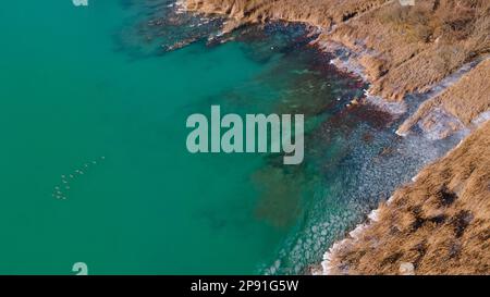 Veduta aerea del lago, Balaton in Ungheria. Circondato da canne. Vista drone. Acqua di colore verde. Anatre sul lago. Foto Stock