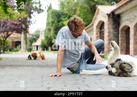 Bello adulto sta giocando con il suo cane all'aperto. San Bernardo gode di compagnia del suo essere umano. Foto Stock