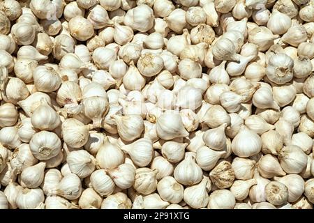 Pila di crudo intero sfondo di aglio. Molti bulbi di aglio per la vendita in un mercato alimentare Foto Stock