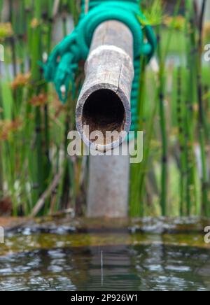 fontana con canna di bambù in stile giapponese Foto Stock