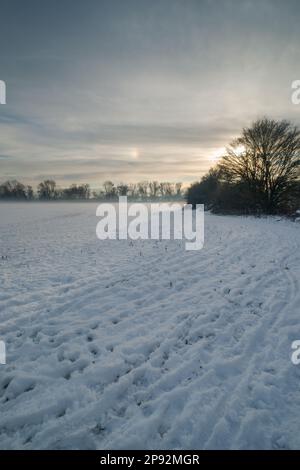 Cane sole o Parhelia causato da strato di cose di nuvole di cirrus con cristallo di ghiaccio che compongono le nuvole che splittano la luce come un prisma sulla neve d'inverno Foto Stock