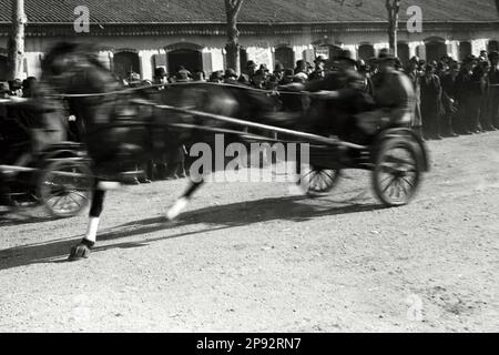 Verona - Fiera cavalli 1939 Foto Stock