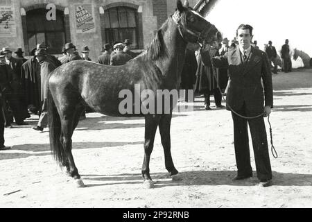 Verona - Fiera cavalli 1939 Foto Stock