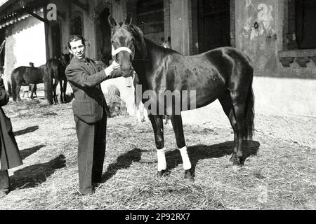 Verona - Fiera cavalli 1939 Foto Stock