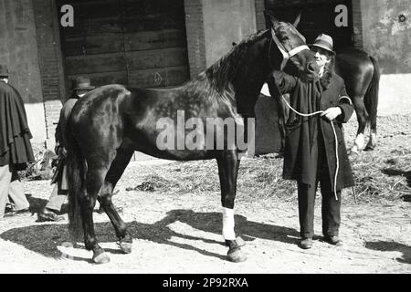 Verona - Fiera cavalli 1939 Foto Stock