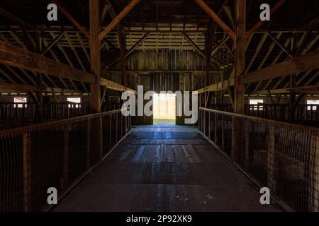 Travi in legno di fienile storico presso la fattoria casearia a Pierce Point in California Foto Stock