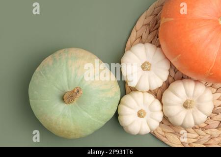 Composizione autunnale. Zucche varie su sfondo verde oliva. Disposizione piatta, vista dall'alto, spazio di copia. Nordic, hygge, concetto domestico accogliente. La caduta di ringraziamento de Foto Stock