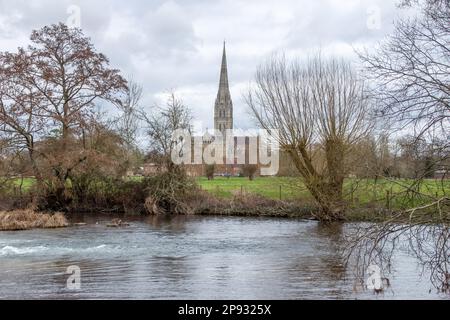 Vista della cattedrale di Salisbury sul fiume Avon Wiltshire Inghilterra Foto Stock