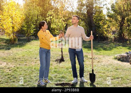 Persone con la segheria e la pala nel parco nelle giornate di sole. Albero che pianta Foto Stock