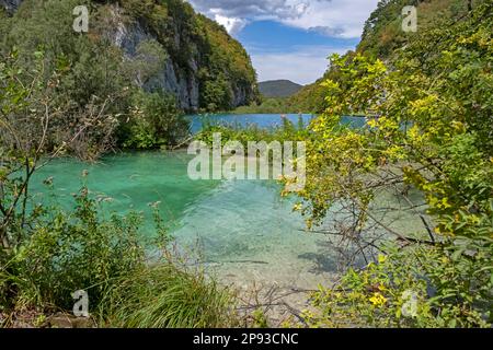 Lago nel Parco Nazionale dei Laghi di Plitvice / Parco Nacionalni Plitvička jezera nella Contea di Lika-Senj, Croazia Foto Stock