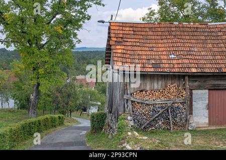 Pila di legna da ardere accatastata contro muro di capannone in Croazia rurale, Karlovac County, nord-ovest Croazia Foto Stock