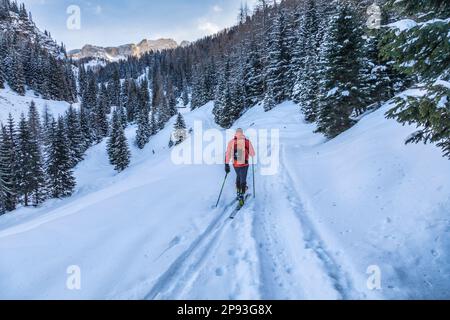 Italia, Veneto, provincia di Belluno, Livinallongo del col di Lana. Ben attrezzato scialpinista sale una valle nelle dolomiti dopo una nevicata, Dolomiti Foto Stock