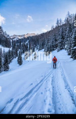 Italia, Veneto, provincia di Belluno, Livinallongo del col di Lana. Ben attrezzato scialpinista sale una valle nelle dolomiti dopo una nevicata, Dolomiti Foto Stock