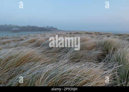 Inghilterra, Northumberland, Berwick upon Tweed. Una mattinata misteriosa sulla costa di Berwick upon Tweed, con la linea costiera sommerso dalla nebbia. Foto Stock