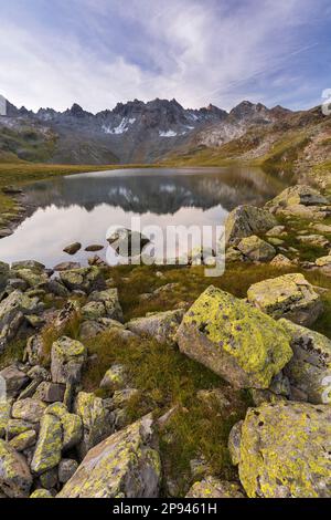 Radsee, Totenfeldkopf, Bieltal, Silvretta Group, Tirolo, Austria Foto Stock