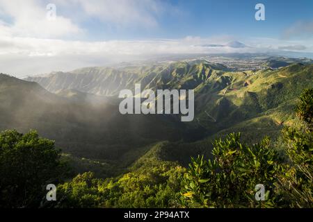 Vista da Mirador Pico del Inglés, Monti Anaga, Parco Rurale, Tenerife, Isole Canarie, Spagna Foto Stock