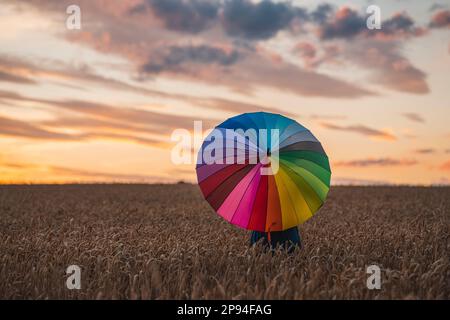 Donna in campo di mais, tramonto, ombrello arcobaleno Foto Stock