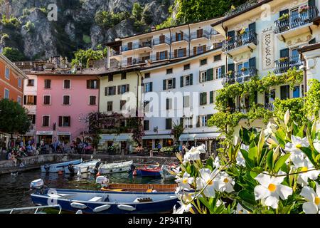 Porto e centro di Limone sul Garda, Lago di Garda, Provincia di Brescia, Lombardia, Italia, Europa Foto Stock