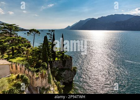 Vista dal Castello di Scaliger sul Lago di Garda, Malcesine, Lago di Garda, Italia, Europa Foto Stock