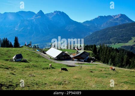 Vista dall'alto sul Tuftlalm (1496m m) con pascoli alpini, cappella, mucche, sullo sfondo la catena montuosa Mieminger con la vetta prominente delle Sopnenspitze (2417m m), Lermoos, Zugspitzarena, Tirolo, Austria Foto Stock