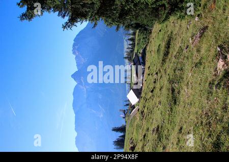 Vista dall'alto sul Tuftlalm (1496m m) con pascoli alpini, mucche, sullo sfondo la catena montuosa del Mieminger con la vetta prominente delle Sopnenspitze (2417m m), Lermoos, Zugspitzarena, Tirolo, Austria Foto Stock